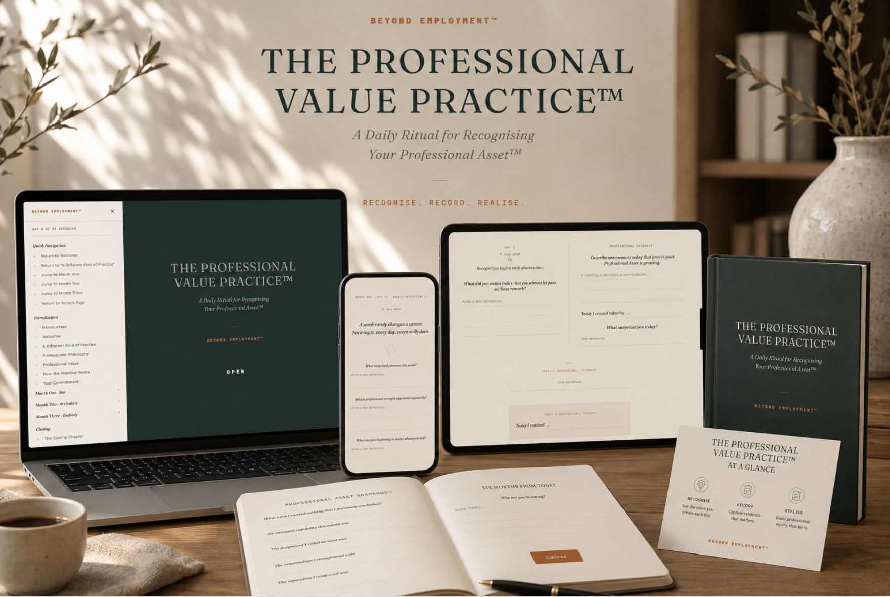 The Professional Value Practice