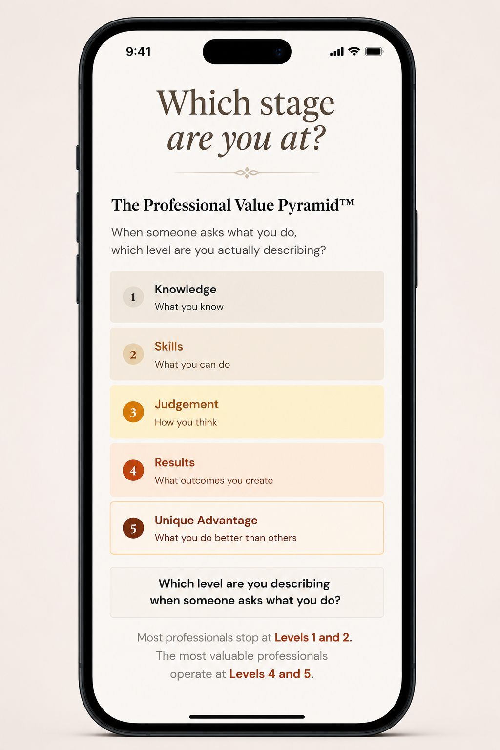 Professional Value Pyramid framework preview from the personalised assessment report.